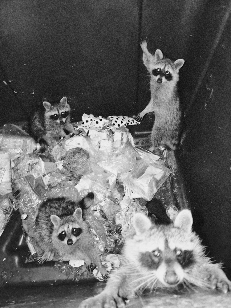 Maria Denise Dessimoz, Berlin-based Greek visual artist and photographer